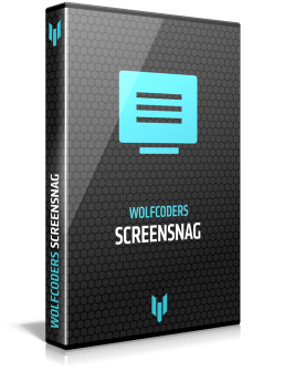 ScreenSnag